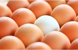 Çiğ Yumurta Gerçekten Faydalı Mı?